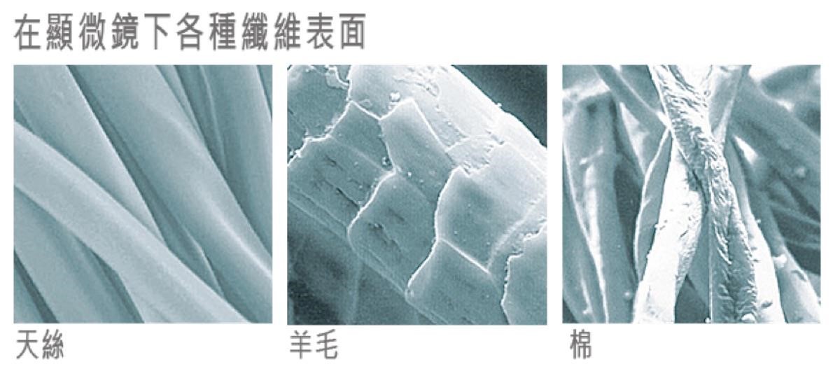 圖片提供_日比家族 圖片提供_日比家族